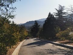 -鹫峰国家森林公园