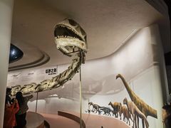 -自贡恐龙博物馆