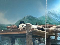 -武汉动物园