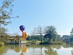 -中国科学院西双版纳热带植物园
