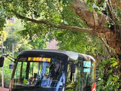 -东莞市大岭山森林公园