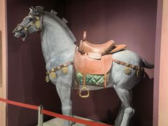 -西安大唐西市博物馆