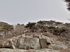 -泰山风景名胜区