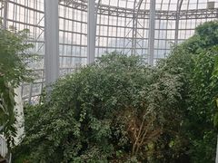 -郑州植物园