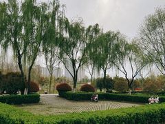 -滨湖塘西河公园