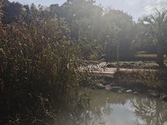 -苏州河梦清园环保主题公园