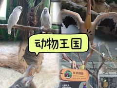 -海合安武汉极地海洋公园