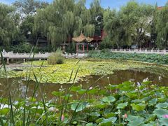 -文瀛公园