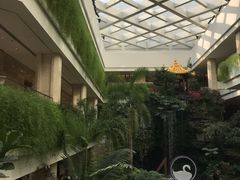 -白天鹅宾馆·流浮阁咖啡厅