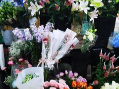 -桂林市花鸟市场