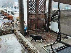-慢丽江·云南野生菌土鸡锅(付家庄店)