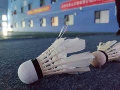 -阳光羽毛球馆(马家龙店)