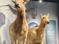 -中国湿地博物馆