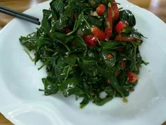 枸杞苗-三益轩(总店)