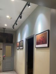 -爱儿美儿童摄影(奥森公园店)