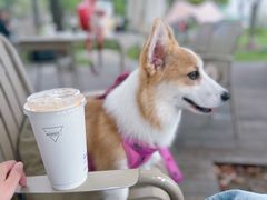 -Manner Coffee(徐汇滨江店)