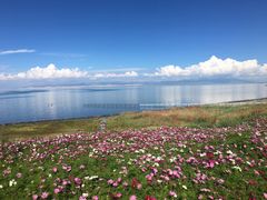 -青海湖国家重点风景名胜区售票处