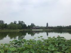 -西海子公园