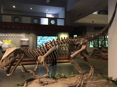 -自贡恐龙博物馆