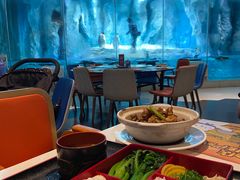 -帝企鹅自助餐厅•儿童岛•真企鹅(长隆企鹅酒店)