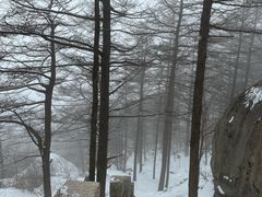 -崂山巨峰游览区