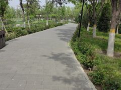 -西海子公园