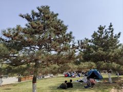 -燕郊植物园