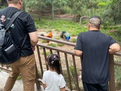 -西霞口神雕山野生动物世界