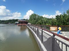 -东寨港红树林旅游区