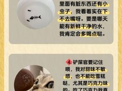 -派美特宠物医院·核磁CT·骨科肿瘤·疑难转诊(沈农禾丰店)