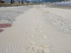 android_upload_pic-嵊泗基湖沙滩