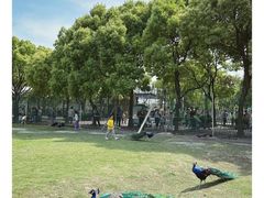 -苏州太湖西山岛开心农场