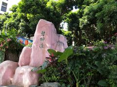 -梧桐山风景名胜区