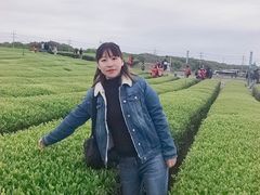 -雪绿茶博物馆