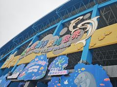 -泉城欧乐堡海洋极地世界