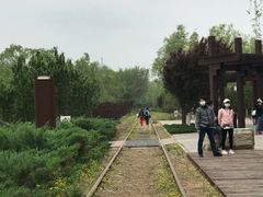 -永定河休闲森林公园