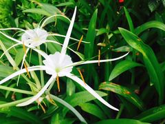 -观澜湖华谊冯小刚电影公社(百年记忆公社)