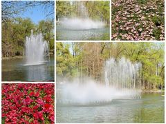 -上海共青森林公园