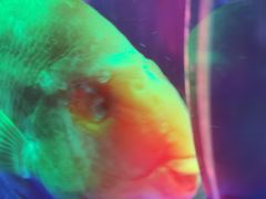 -多彩贵州城极地海洋世界