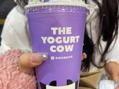 -一只酸奶牛(八一路店)