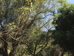 -贵阳市花溪国家城市湿地公园