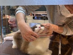 -悠尼宠物·独立低压伊珊娜洗护·美容·寄养(兰谷路店)