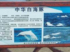 -霞山观海长廊