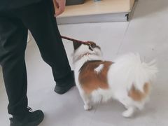 -谐和益家动物医院·免疫绝育·血液透析·宠保定点医院(高新伊藤分院)