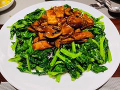 豆苗杏鲍菇-清水蘭軒