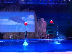 -华夏文旅海洋公园