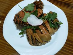 -呼吸森林·生态农庄农家乐私房菜