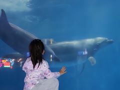 -福州罗源湾海洋世界旅游区