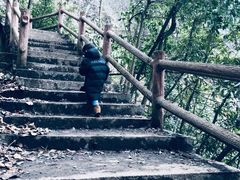 -九峰山