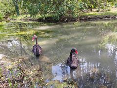 -北京麋鹿生态实验中心